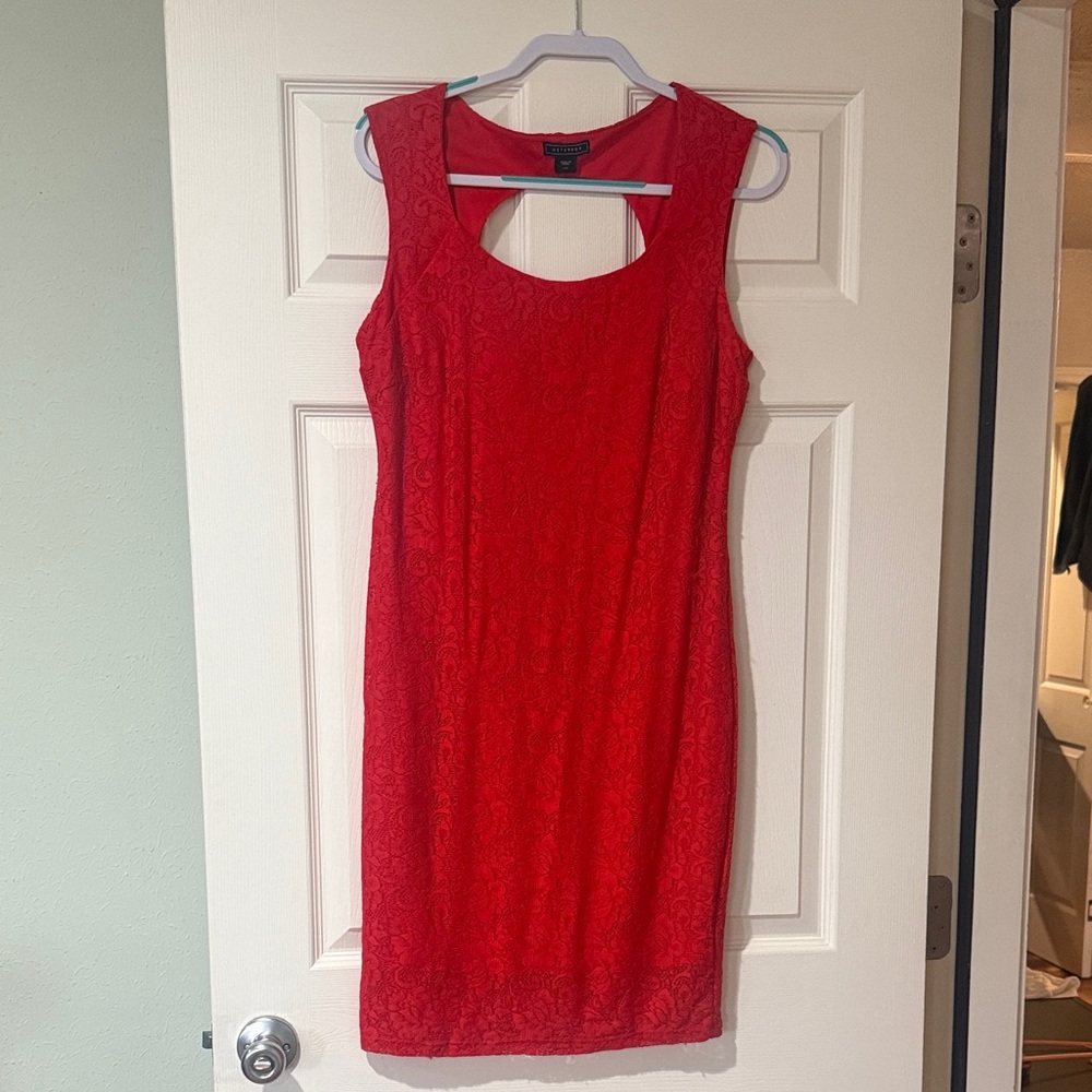 Metaphor Scarlet Backless Dress